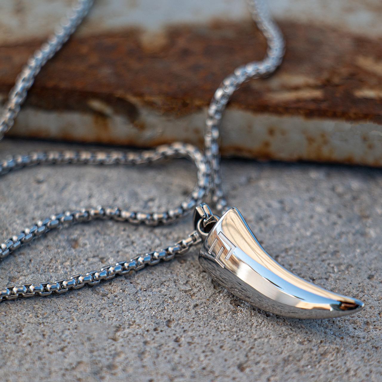 Tiger Claw Necklace in Silver